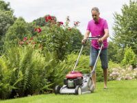 maintain your lawn mower