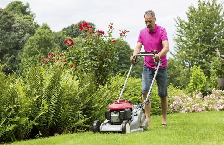 How to maintain your lawn mower for peak performance?