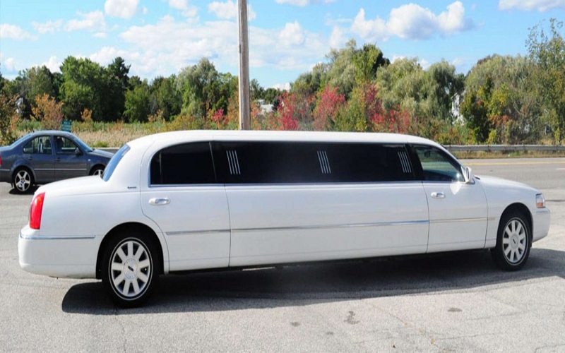 Price of a Limousine Rental